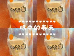 -CoCo都可(汉神购物广场店)