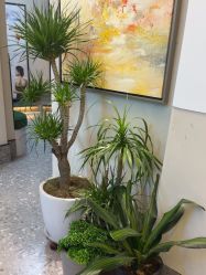 -苏豪美发S A L O N烫发染发