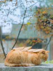 -Oasis Beauty水磨坊科技美肤中心