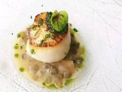 -蝶舍·MAISON PAPILLON