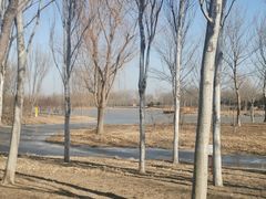 -东郊湿地公园