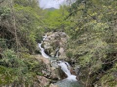 -大围山国家森林公园