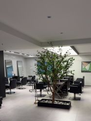 -付军剪艺JF ProSalon
