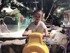 -zoonana室内动物园(东方福来德店)