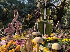 -杭州植物园