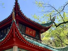 -岳麓山风景名胜区