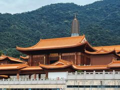-深圳仙湖植物园