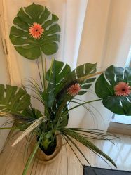 -纹绣阁·纹眉眼唇品牌