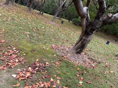 -苏州河梦清园环保主题公园