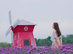 -金卉庄园