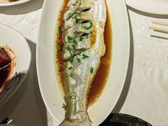 -金美华轩(东方路齐鲁店)