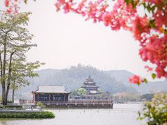 -顺峰山公园