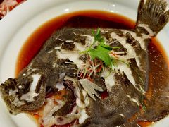清蒸多宝鱼-百富源·海鲜辽菜(浑河堡店)