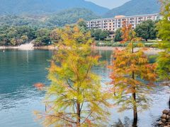 -羡餐厅·杭帮菜·淳菜(千岛湖自由洲际殿店)