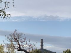 -北坞公园