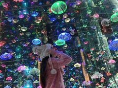 -迷斯伍德星空博物馆