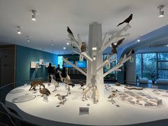 漩门湾湿地科普馆-漩门湾国家湿地公园