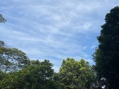 -深圳仙湖植物园