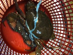 -ZF Seafood Restaurant 卓峰海鲜餐