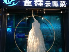 -雀舞云南菜(乐客城店)