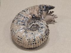 -辽宁古生物博物馆