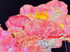 -淄博花灯齐彩城