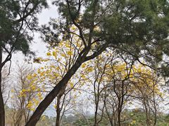 -中国移动南方基地