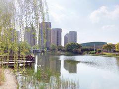 -新江湾城公园