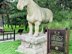 -北陵公园