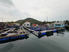 -蓝湾碧波·老字号·疍家非遗海上餐厅