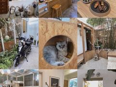 法式蛋糕拼盘-拾壹cafe·工作室