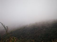 -武陵山森林公园