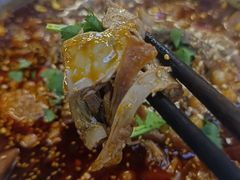 -蓉三少冒烤鸭·四川小吃集(北京首店)