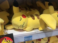 -超级宝可梦中心(东京店)