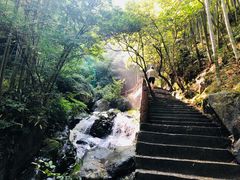 -藏龙百瀑风景区