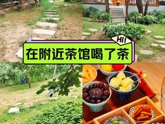 -抱龙峪