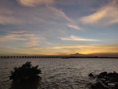 -宝安西湾红树林湿地公园