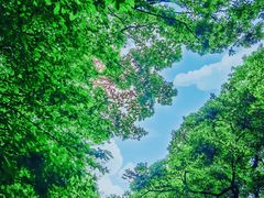 -敬亭山风景名胜区