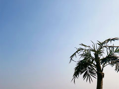-刘家湾赶海园