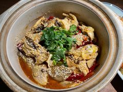 有故事的椒麻鸡-周家二小姐的菜(西津渡店)