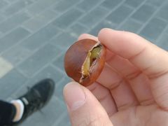 -秋栗香(地安门店)