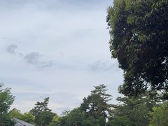 -奈良公园