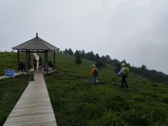 -驼梁风景区