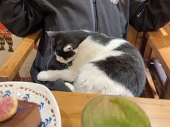 -萤火虫咖啡(后海店)