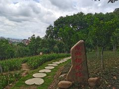 -神光山国家森林公园