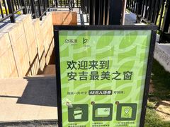 -白茶原·一片叶子