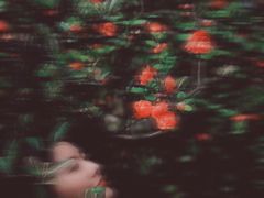 -南山植物园