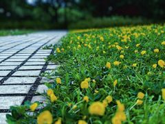 -荔香公园