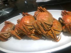 -江南船宴