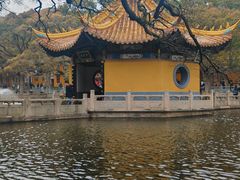 -长生素斋(普陀山店)